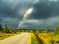 Reinavegen